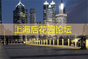 阿拉爱上海：突破传统！上海工作室如何打造全新职业模式？